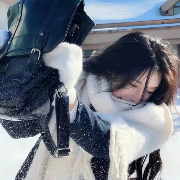 双生赤狐
